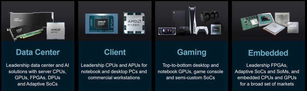 AMD BIZ SEGMENT