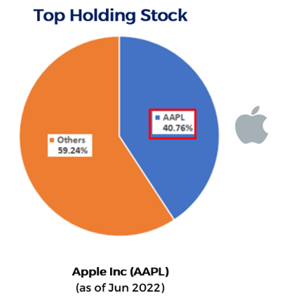 Berkshire Top Holding Stock