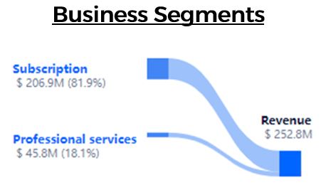 C3.AI Biz segment