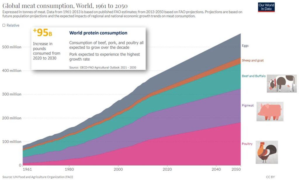 Global Meat Consumption