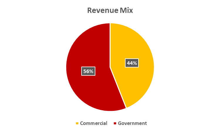 Palantir Annual Report 2020 Revenue Mix