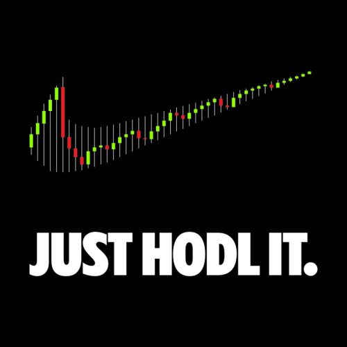 HODL - Hold On for Dear Life