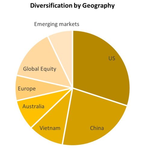 Diversification By Geography